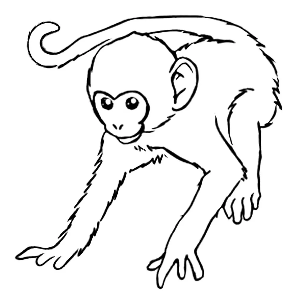 Monke Temple Hasselt
