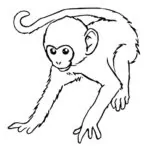 Monke Temple Hasselt