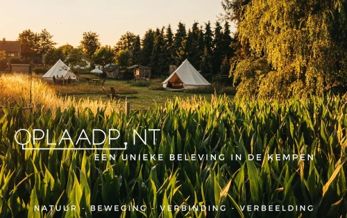 Oplaadpnt