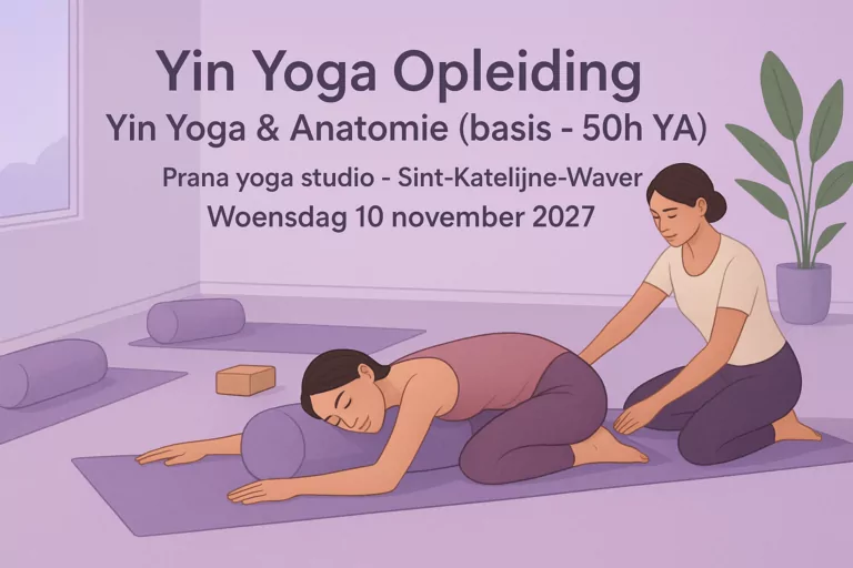 Yin Yoga Opleiding - Yin Yoga & Antatomie (basis - 50h YA)
